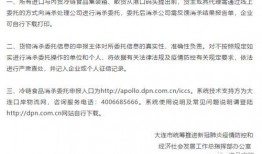 新闻爆料怎么投稿视频呢,轻松成为自媒体达人