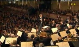 最新爆料维也纳视频播放,最新爆料背后的惊人真相